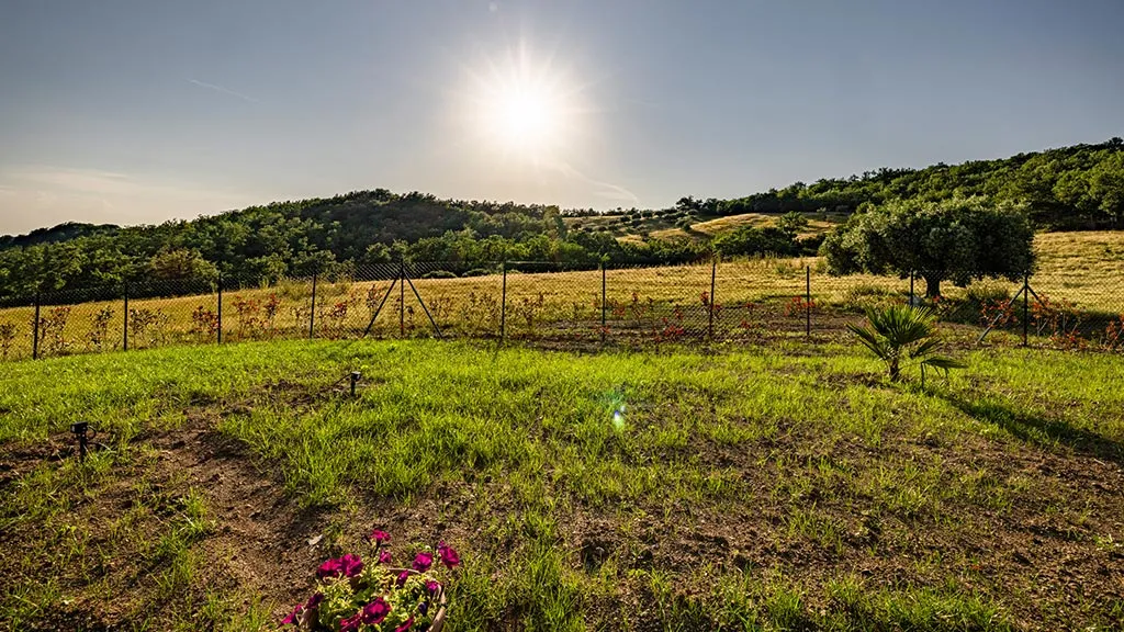 Il prato di Villa Ermida al tramonto